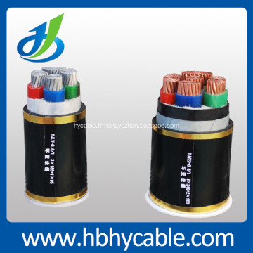 Câble d&#39;alimentation électrique blindé / non armé PVC / XLPE / cuivre / Hv / Mv / LV